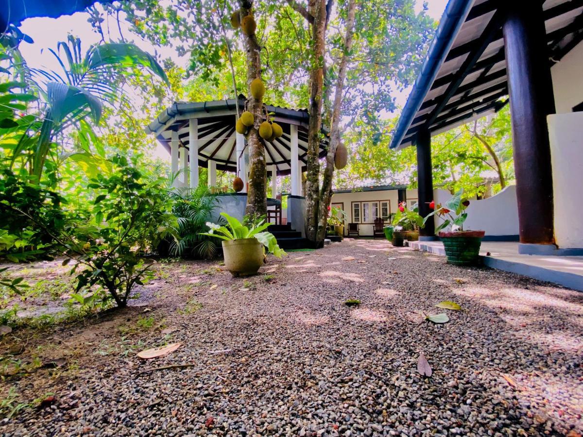 Drongo Place Dikwella Esterno foto